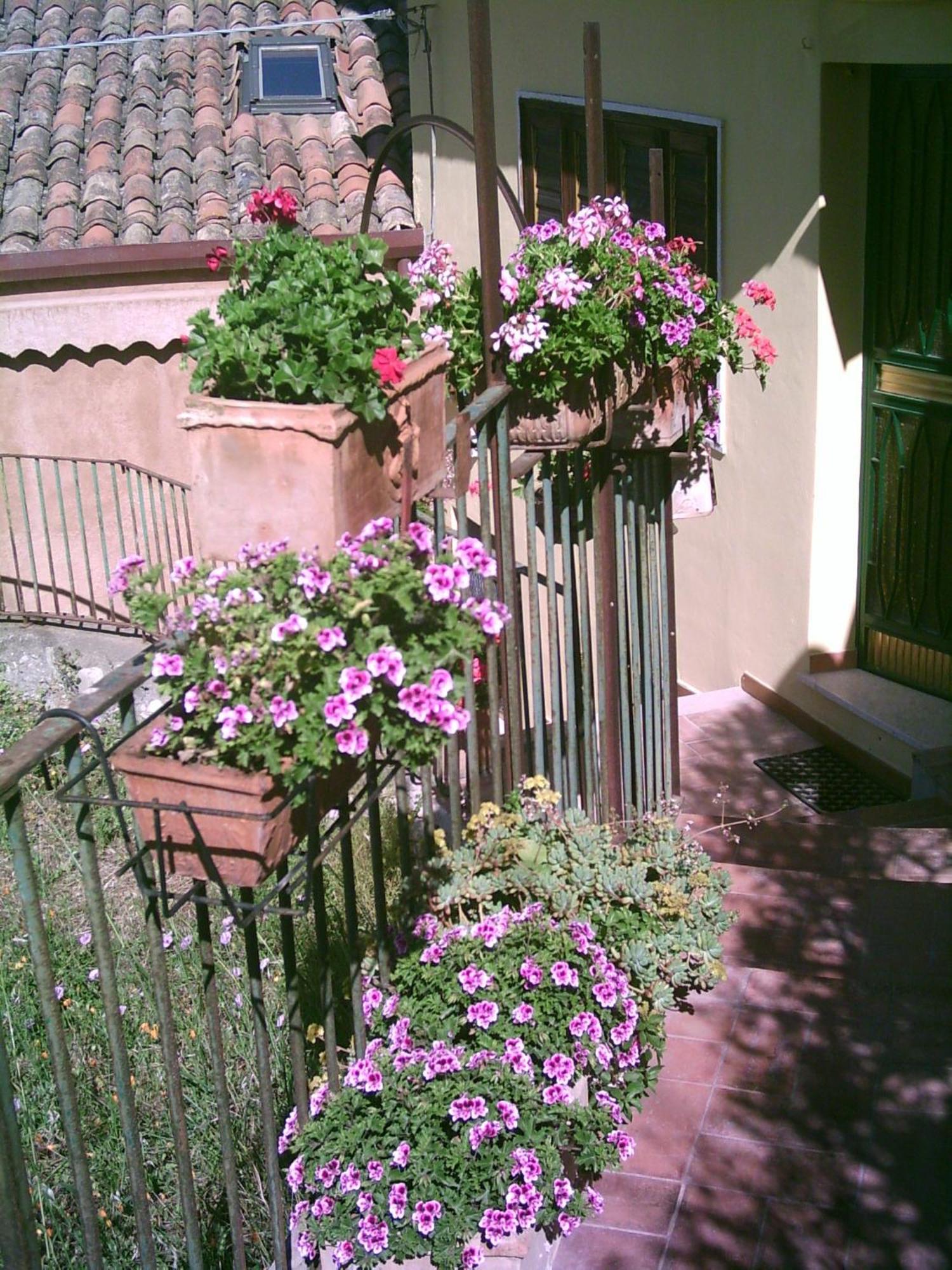 Bed and breakfast U Palmentu
